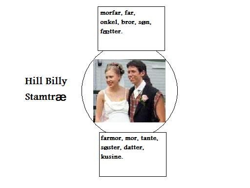 Hill Billy stamtræ