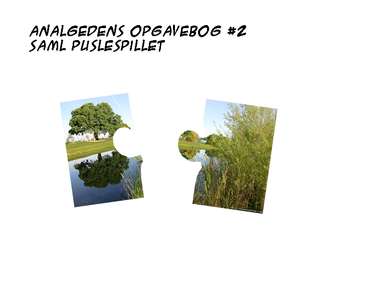 Analgedens opgavebog #2: Saml puslespillet