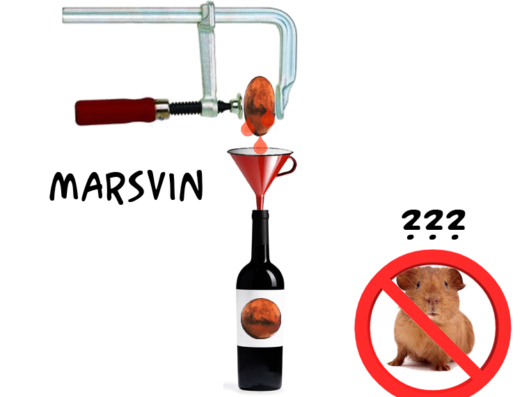 Marsvin